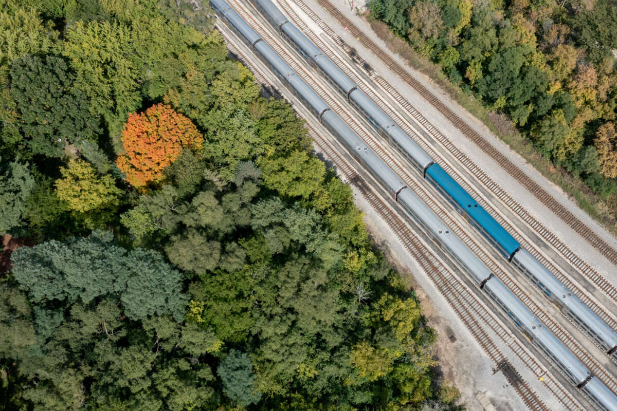 Aerial view of two Metra trains at Fox Lake with dense trees on either side.